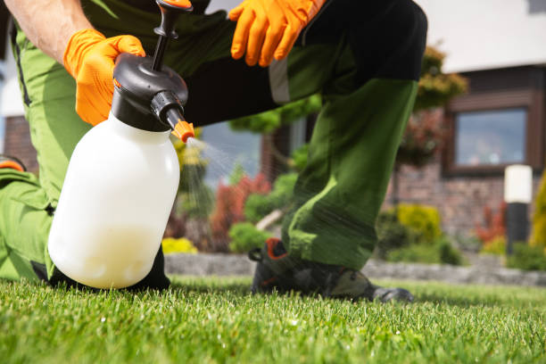 Best Exterminator Services  in Lexington, WA