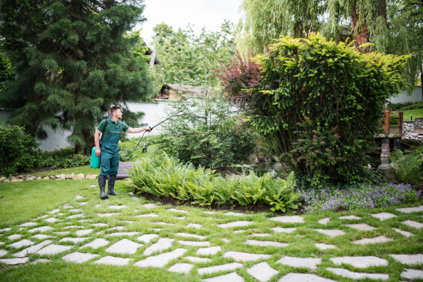 Best Cockroach Control Services  in Lexington, WA