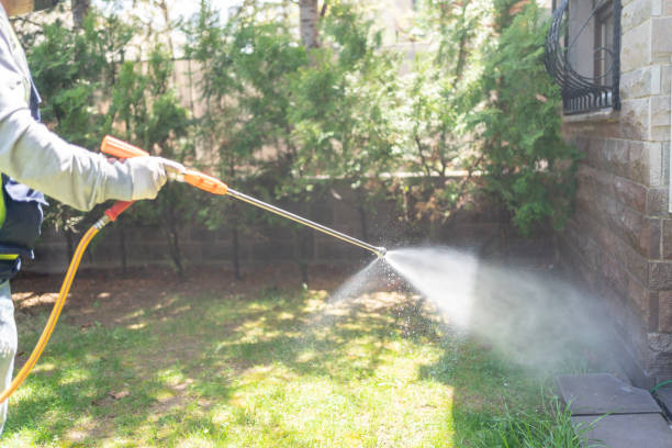 Flea Control Services in Lexington, WA