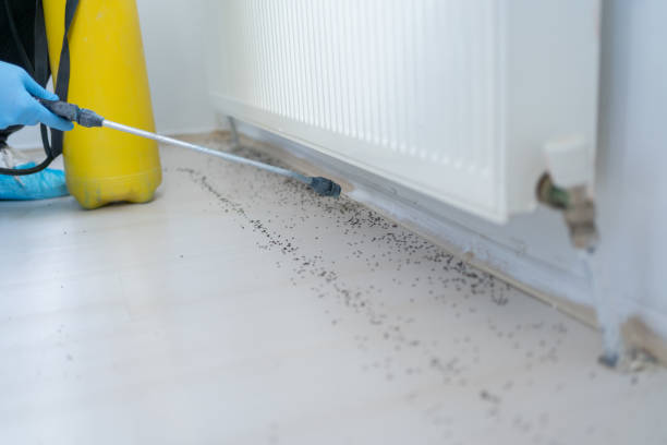 Best Best Pest Control Companies  in Lexington, WA