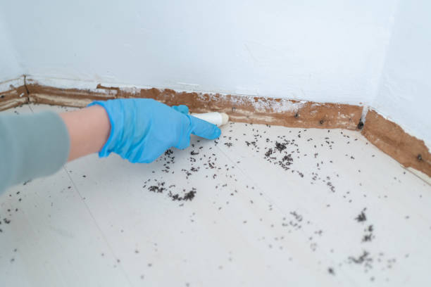 Trusted Lexington, WA Pest Control Experts